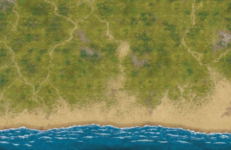 Top-down view of a beach with greenery and blue water.